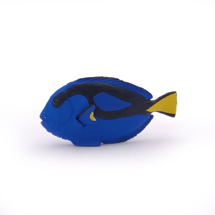 Papo - Surgeonfish Figurine