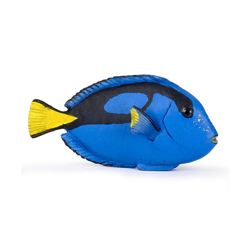Papo - Surgeonfish Figurine