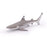 Papo - Blacktip reef shark Figurine