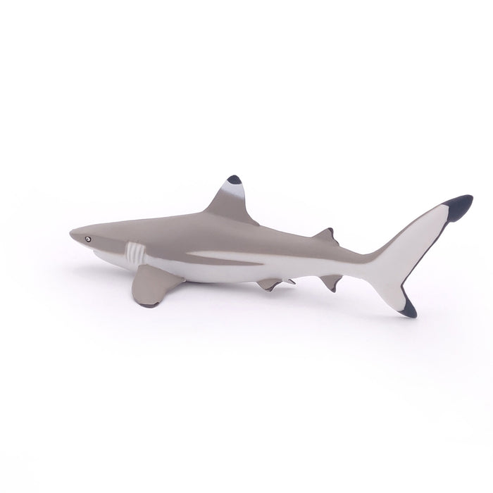 Papo - Blacktip reef shark Figurine