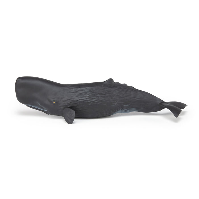 Papo - Sperm whale Figurine