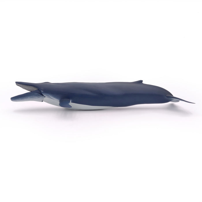 Papo - Blue whale Figurine