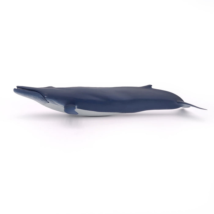 Papo - Blue whale Figurine