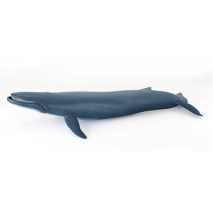 Papo - Blue whale Figurine