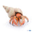 Papo - Hermit crab Figurine