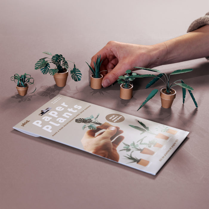 Pikkii - Paper Plants (Set of 5)