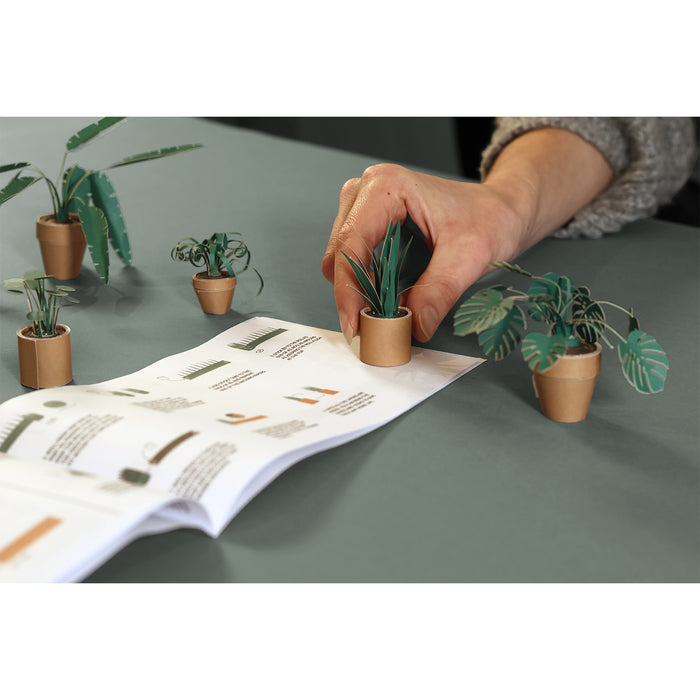 Pikkii - Paper Plants (Set of 5)