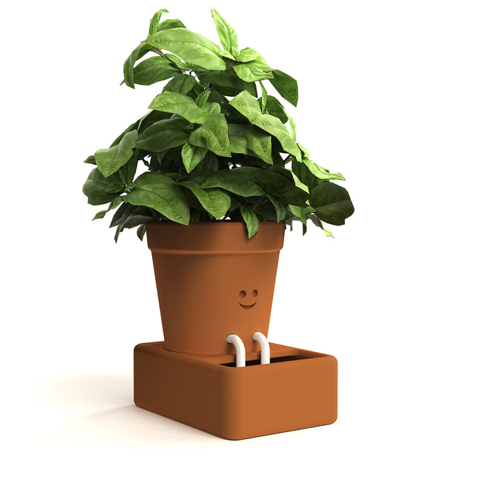 Pikkii - Self Care Planter