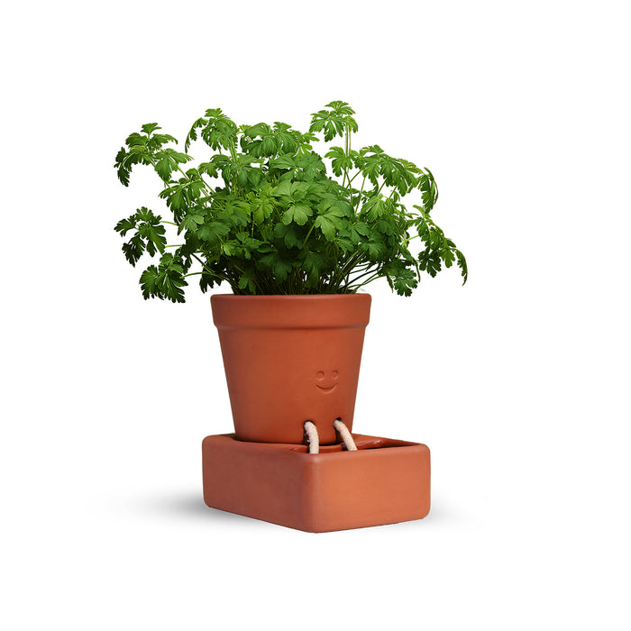 Pikkii - Self Care Planter