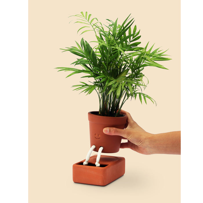 Pikkii - Self Care Planter