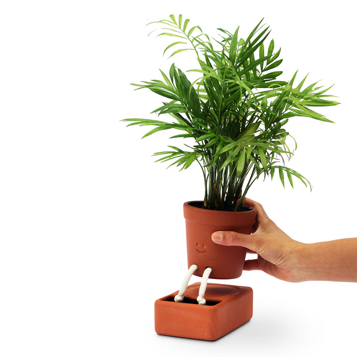 Pikkii - Self Care Planter