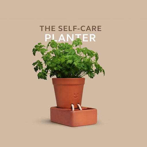 Pikkii - Self Care Planter