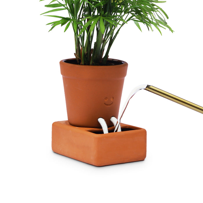 Pikkii - Self Care Planter