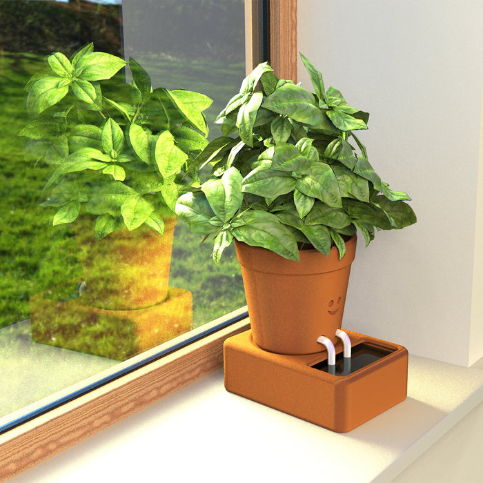 Pikkii - Self Care Planter