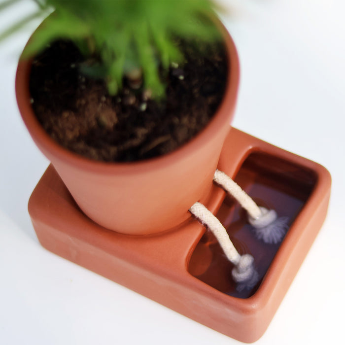 Pikkii - Self Care Planter