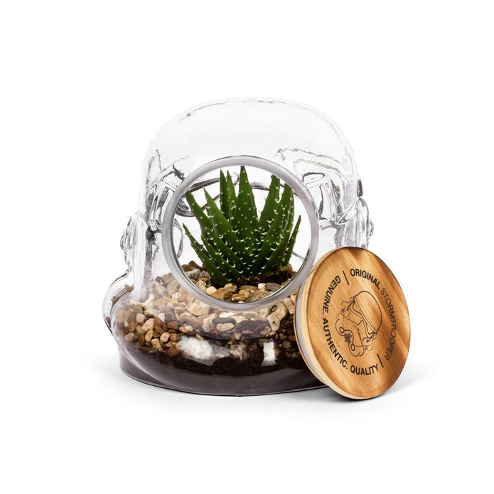 Thumbs Up! - Original Stormtrooper Cookie Jar / Terrarium