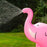 BigMouth - Ginormous Pink Elephant Yard Sprinkler | Cookie Jar - Home of the Coolest Gifts, Toys & Collectables