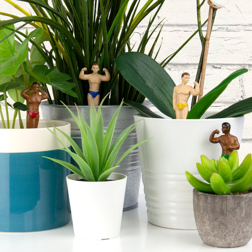 Plant Pot Hunks