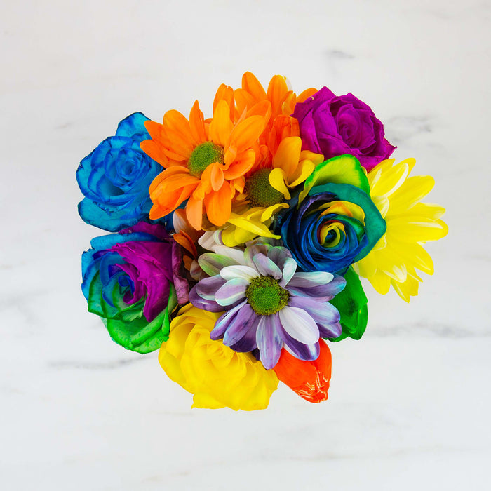 DIY Rainbow Flower Kit