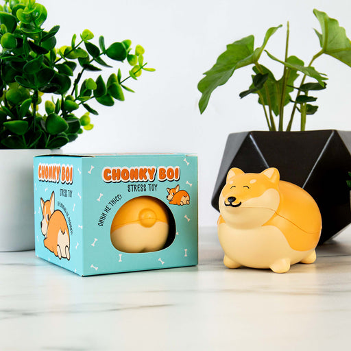 Chonky Boi Stress Toy