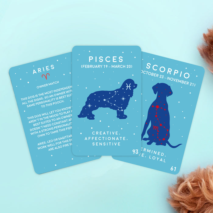 Paw-Mistry Dog Edition Cards