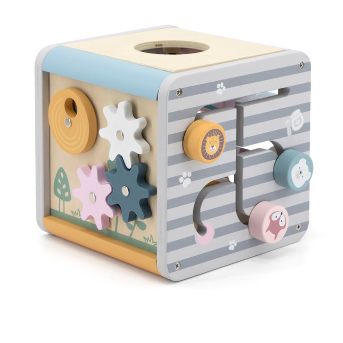 5-in-1 Activity Box