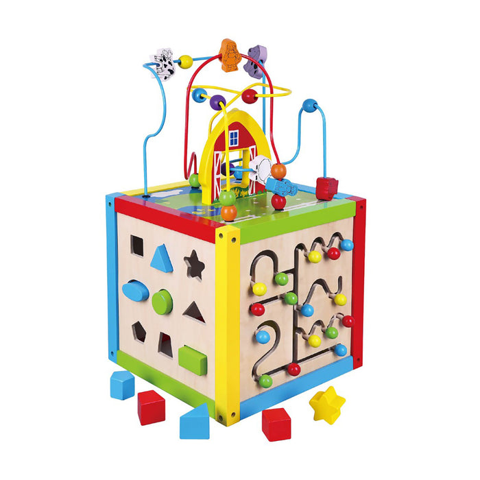 5-in-1 Activity Toy