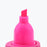Mustard - T-Rex Highlighter Pink | Cookie Jar - Home of the Coolest Gifts, Toys & Collectables
